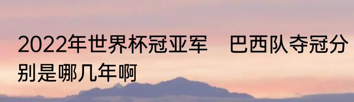 2022年世界杯冠亚军　巴西队夺冠分别是哪几年啊
