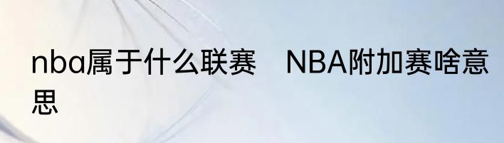 nba属于什么联赛　NBA附加赛啥意思