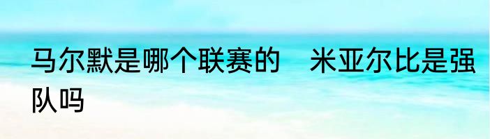 马尔默是哪个联赛的　米亚尔比是强队吗