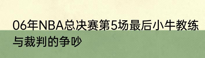 06年NBA总决赛第5场最后小牛教练与裁判的争吵