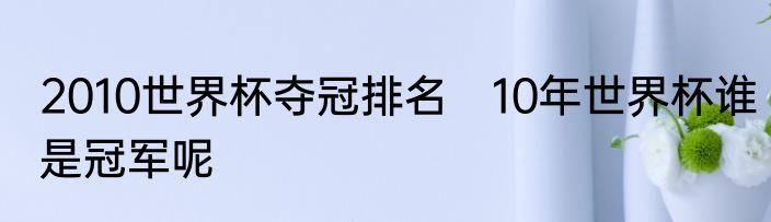 2010世界杯夺冠排名　10年世界杯谁是冠军呢