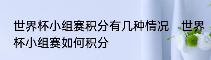 世界杯小组赛积分有几种情况　世界杯小组赛如何积分
