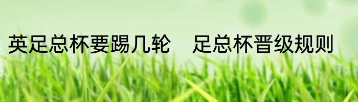 英足总杯要踢几轮　足总杯晋级规则