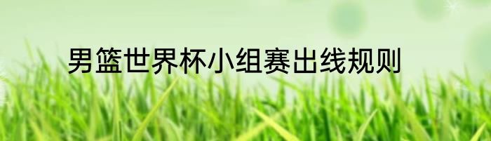 男篮世界杯小组赛出线规则