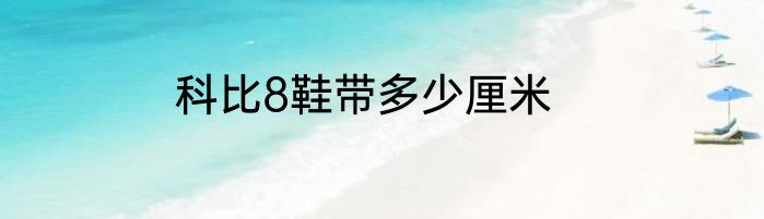 科比8鞋带多少厘米