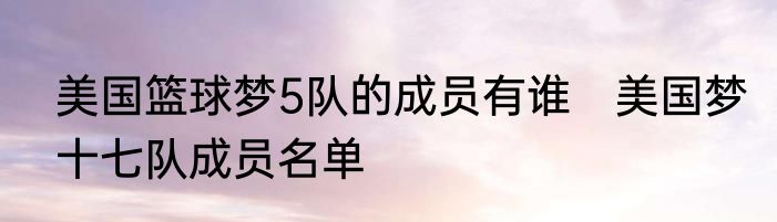 美国篮球梦5队的成员有谁　美国梦十七队成员名单