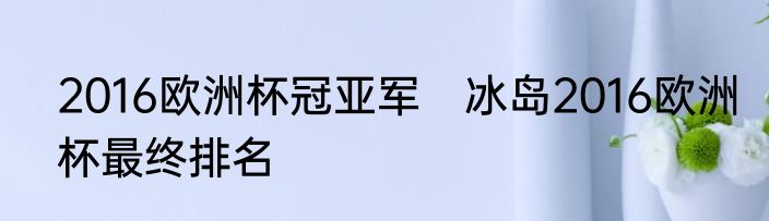 2016欧洲杯冠亚军　冰岛2016欧洲杯最终排名
