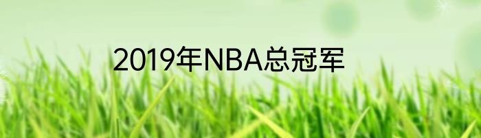 2019年NBA总冠军