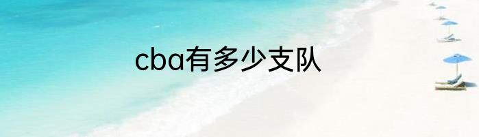 cba有多少支队