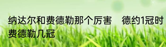 纳达尔和费德勒那个厉害　德约1冠时费德勒几冠