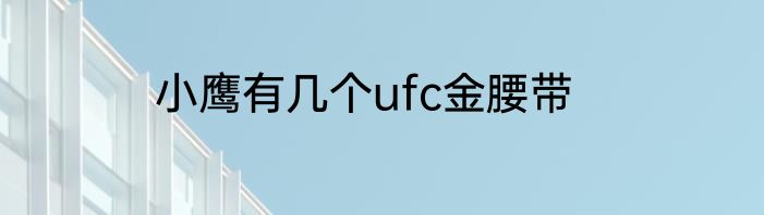 小鹰有几个ufc金腰带
