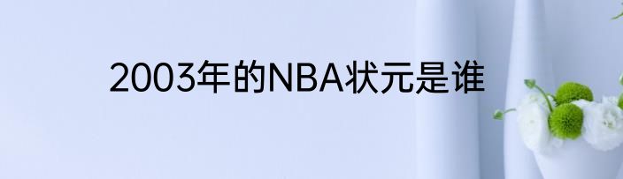 2003年的NBA状元是谁