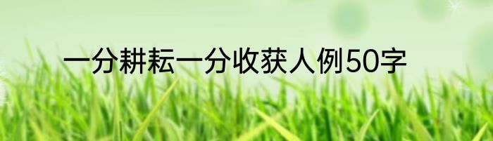 一分耕耘一分收获人例50字