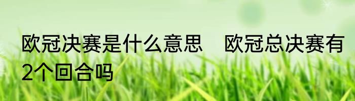 欧冠决赛是什么意思　欧冠总决赛有2个回合吗