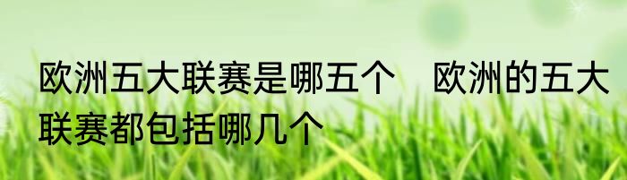 欧洲五大联赛是哪五个　欧洲的五大联赛都包括哪几个
