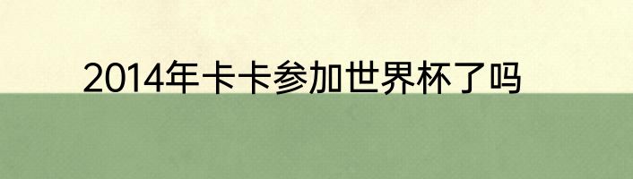 2014年卡卡参加世界杯了吗