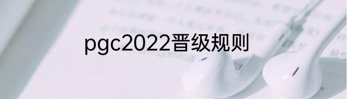 pgc2022晋级规则