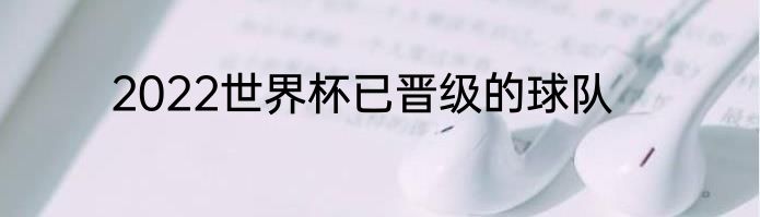 2022世界杯已晋级的球队