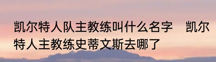 凯尔特人队主教练叫什么名字　凯尔特人主教练史蒂文斯去哪了
