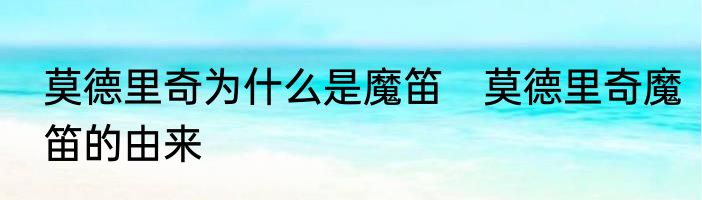 莫德里奇为什么是魔笛　莫德里奇魔笛的由来