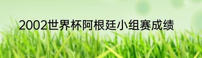 2002世界杯阿根廷小组赛成绩