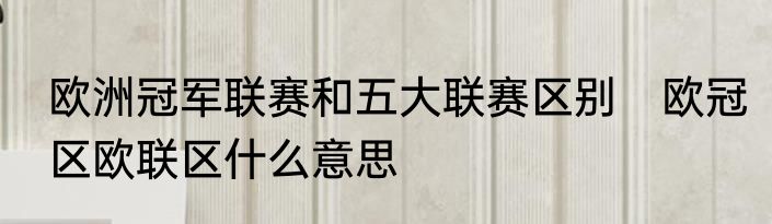 欧洲冠军联赛和五大联赛区别　欧冠区欧联区什么意思