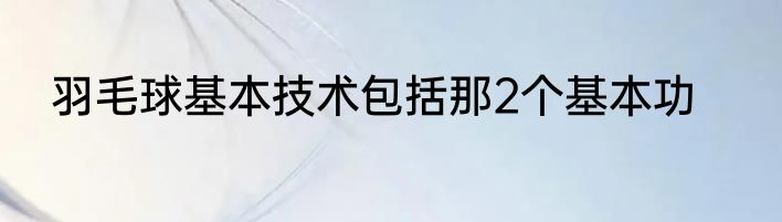 羽毛球基本技术包括那2个基本功