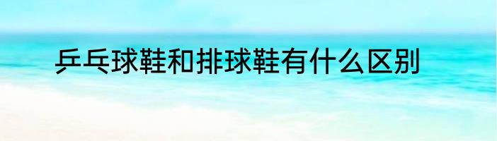 乒乓球鞋和排球鞋有什么区别