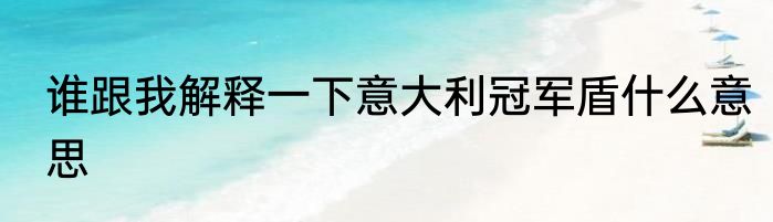 谁跟我解释一下意大利冠军盾什么意思