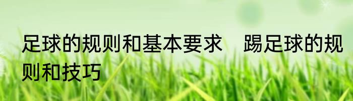 足球的规则和基本要求　踢足球的规则和技巧