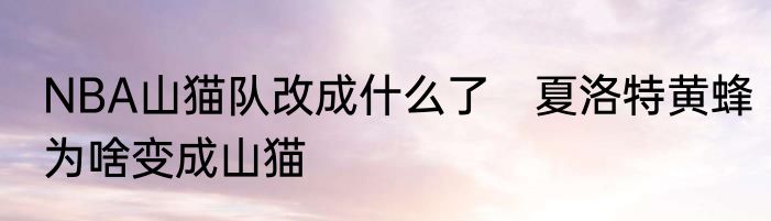 NBA山猫队改成什么了　夏洛特黄蜂为啥变成山猫