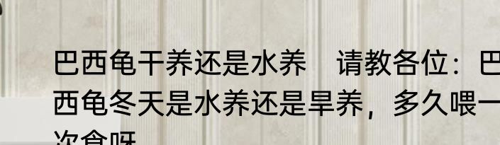 巴西龟干养还是水养　请教各位：巴西龟冬天是水养还是旱养，多久喂一次食呀