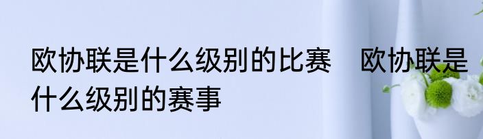 欧协联是什么级别的比赛　欧协联是什么级别的赛事