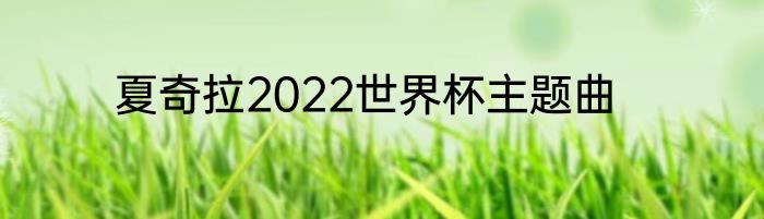 夏奇拉2022世界杯主题曲