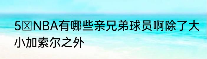 5 NBA有哪些亲兄弟球员啊除了大小加索尔之外