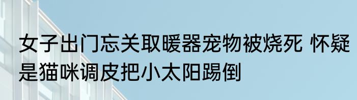 女子出门忘关取暖器宠物被烧死 怀疑是猫咪调皮把小太阳踢倒