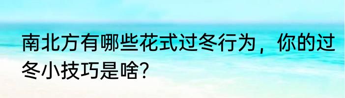 南北方有哪些花式过冬行为，你的过冬小技巧是啥？