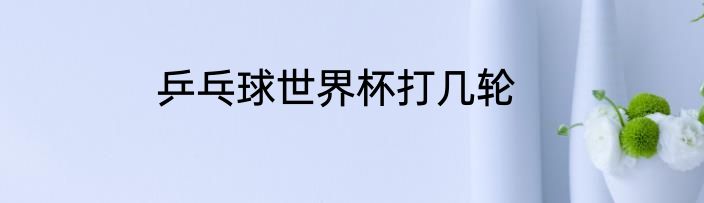 乒乓球世界杯打几轮