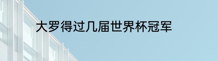 大罗得过几届世界杯冠军