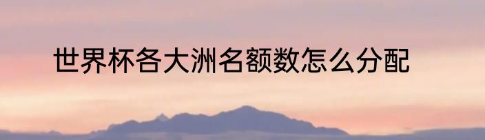 世界杯各大洲名额数怎么分配