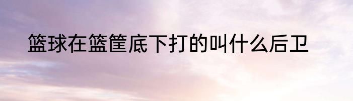 篮球在篮筐底下打的叫什么后卫