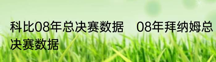 科比08年总决赛数据　08年拜纳姆总决赛数据