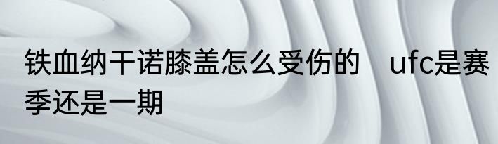 铁血纳干诺膝盖怎么受伤的　ufc是赛季还是一期