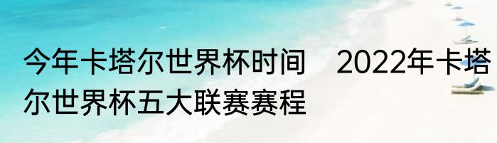 今年卡塔尔世界杯时间　2022年卡塔尔世界杯五大联赛赛程
