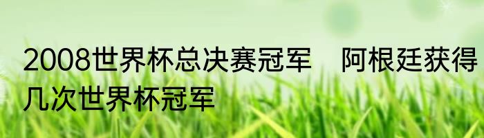 2008世界杯总决赛冠军　阿根廷获得几次世界杯冠军