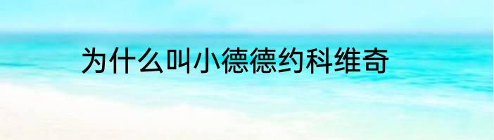 为什么叫小德德约科维奇