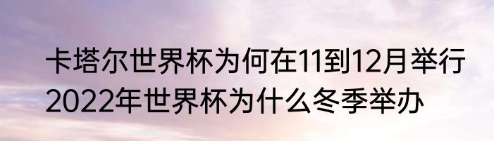 卡塔尔世界杯为何在11到12月举行　2022年世界杯为什么冬季举办