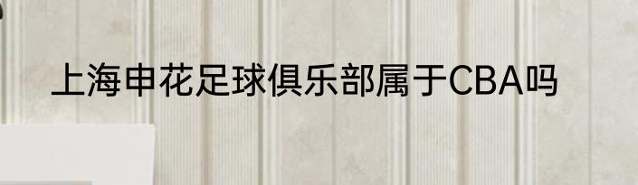 上海申花足球俱乐部属于CBA吗