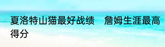 夏洛特山猫最好战绩　詹姆生涯最高得分