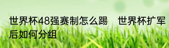 世界杯48强赛制怎么踢　世界杯扩军后如何分组